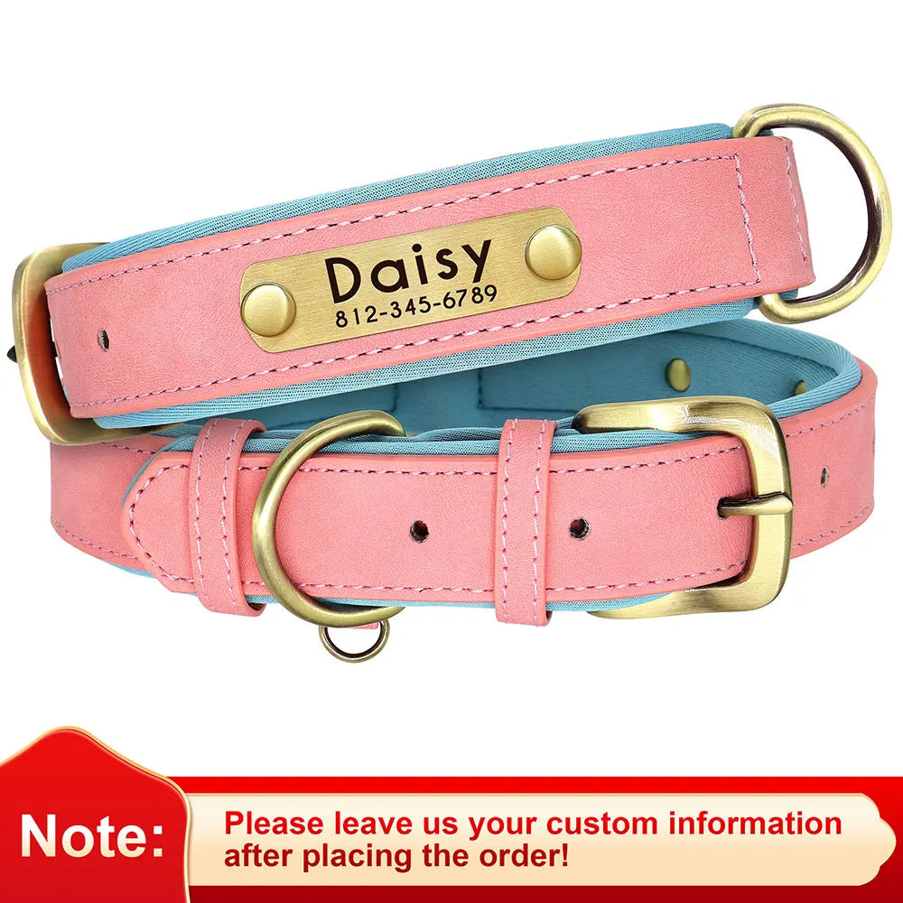 Leather Dog Collar with Name | The Woof & Whiskers Co.