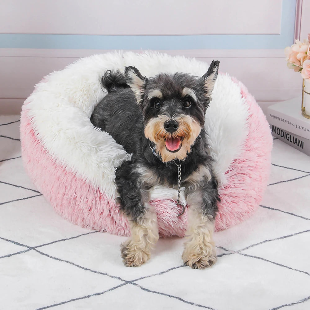 Dog sitting on a fluffy pink and white pet bed