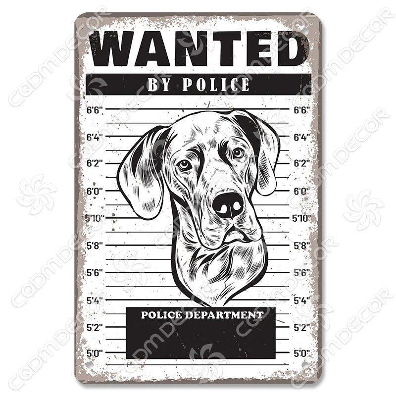 🐾 Vintage Metal Beware of Dog Sign – Retro Tin Wall Décor