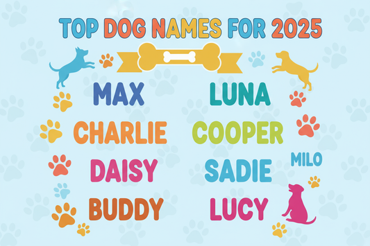 Dog Names | The Woof & Whiskers Co.