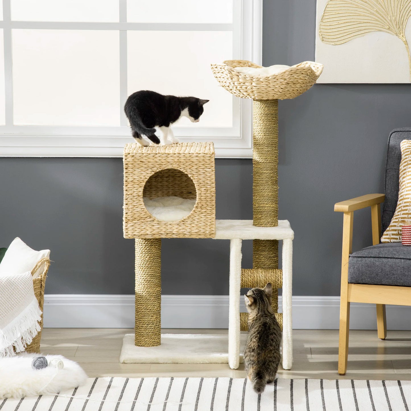 Cat Scratching Post with Bed