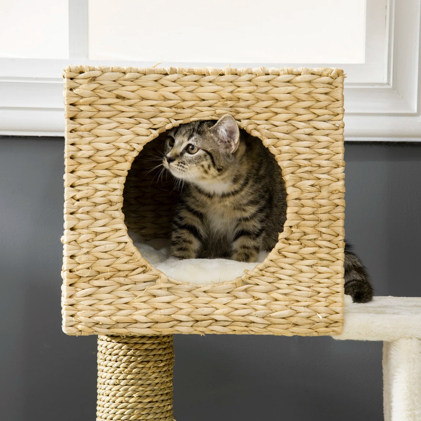 Cat Scratching Post with Bed