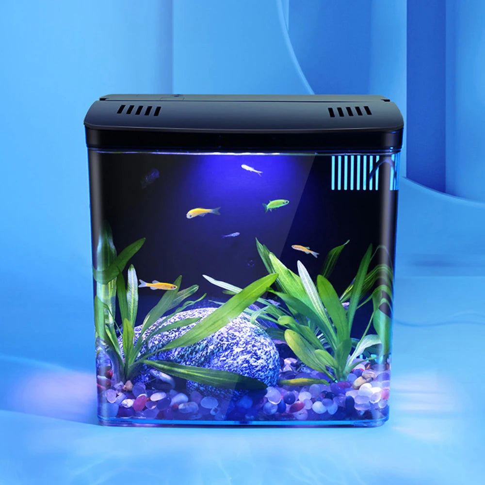 Small aquarium with fish and plants on a blue background