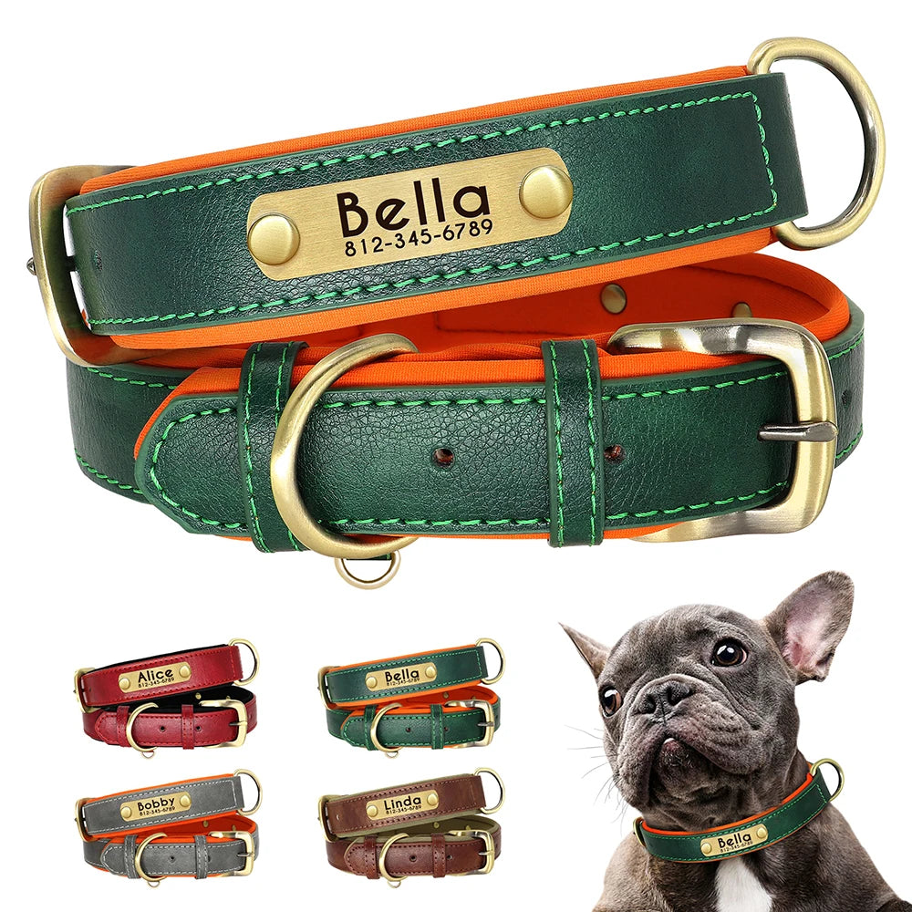 Leather Dog Collar with Name | The Woof & Whiskers Co.