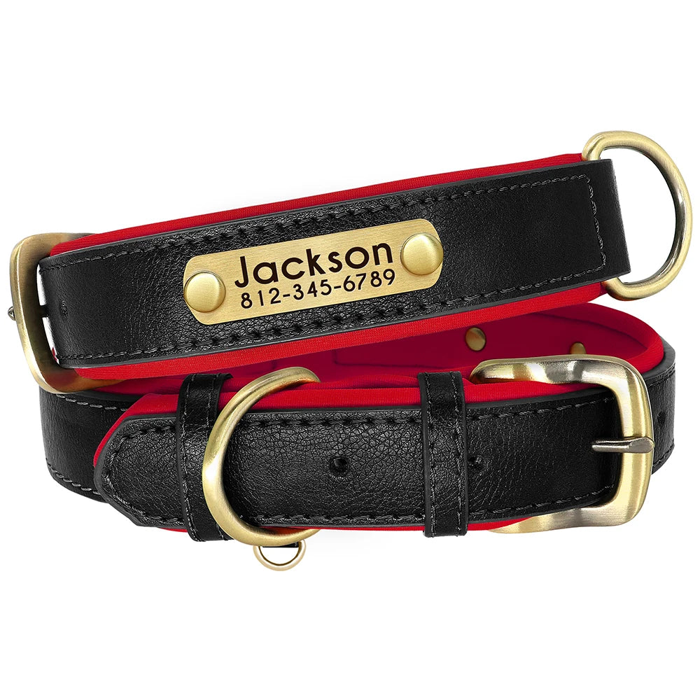 Leather Dog Collar with Name | The Woof & Whiskers Co.