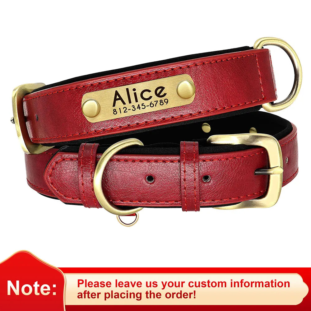 Leather Dog Collar with Name | The Woof & Whiskers Co.