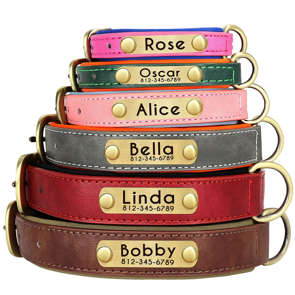 Leather Dog Collar with Name | The Woof & Whiskers Co.