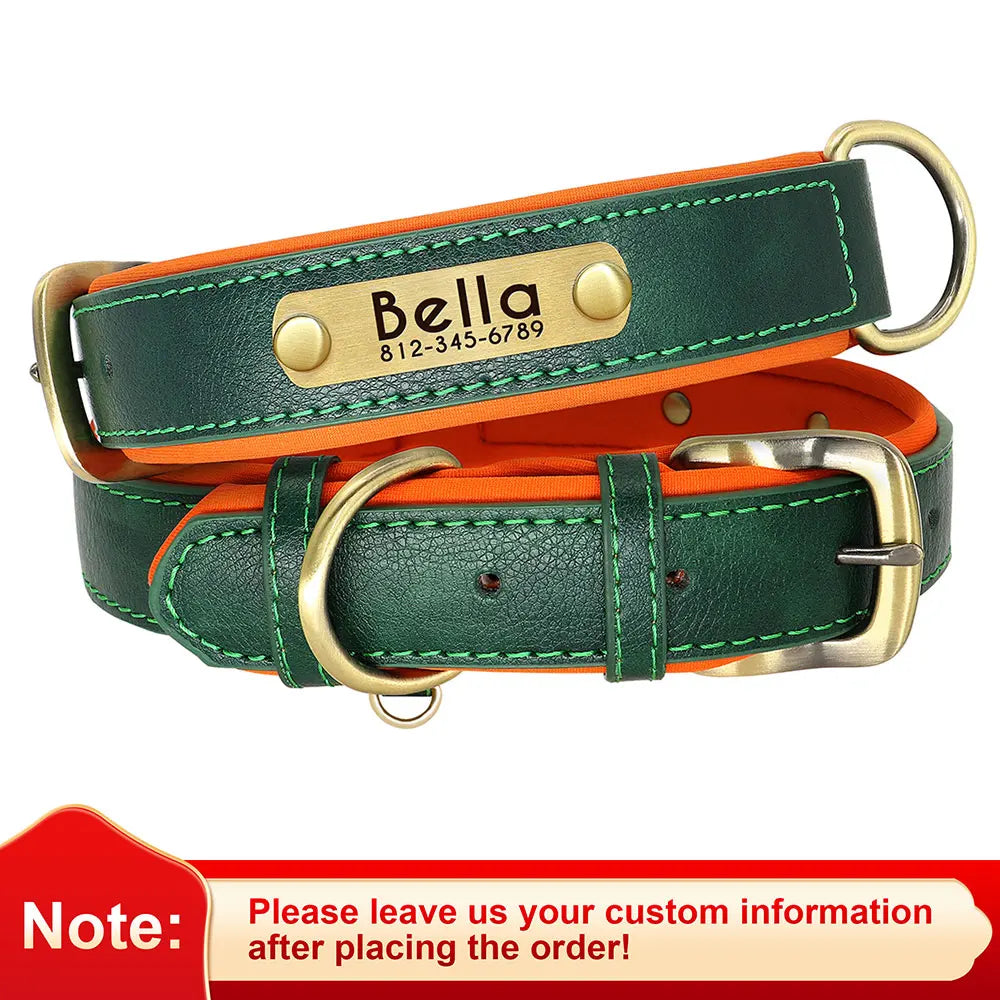 Leather Dog Collar with Name | The Woof & Whiskers Co.
