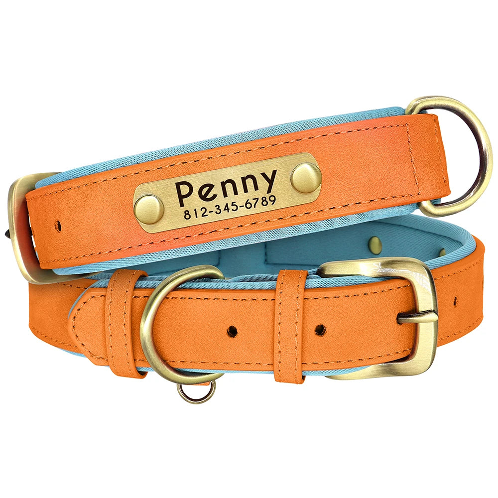 Leather Dog Collar with Name | The Woof & Whiskers Co.