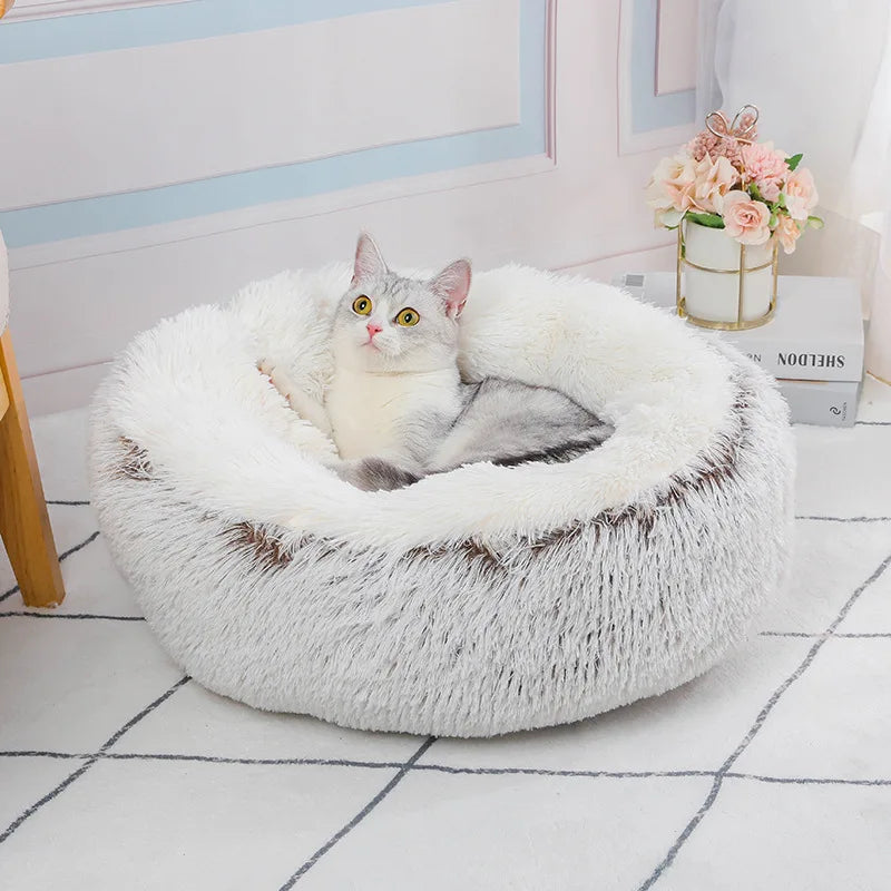 Cat lying in a fluffy white pet bed on a checkered floor with a decorative plant in the background.