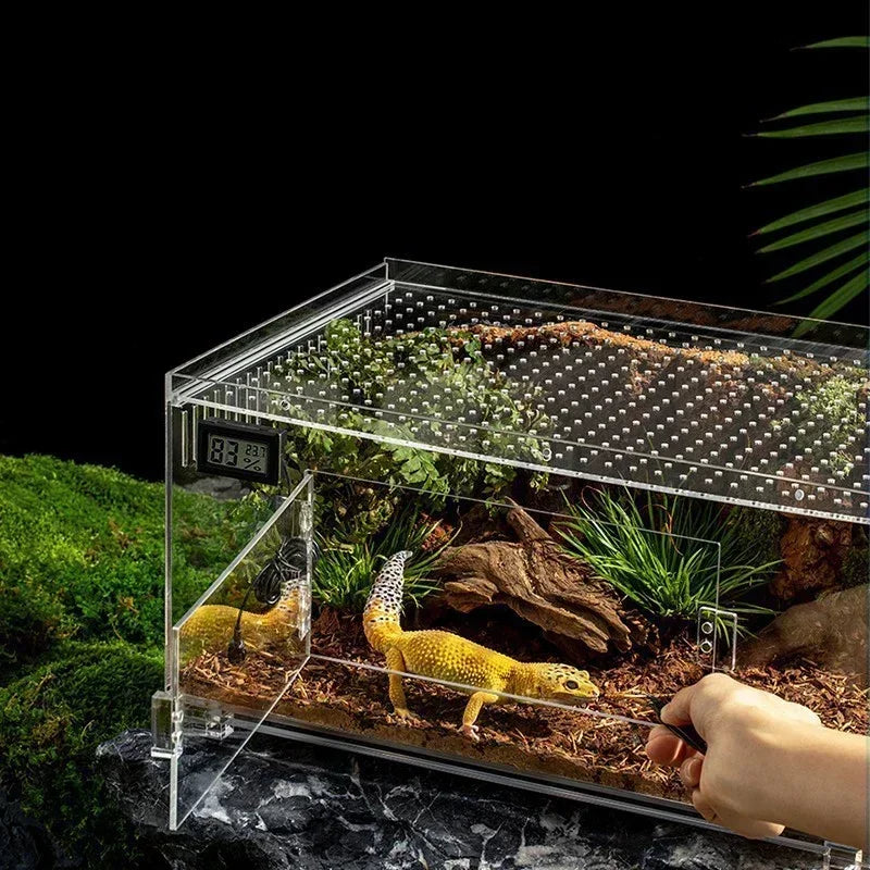 Snake Reptile Cage | Durable Acrylic Enclosure for Reptiles