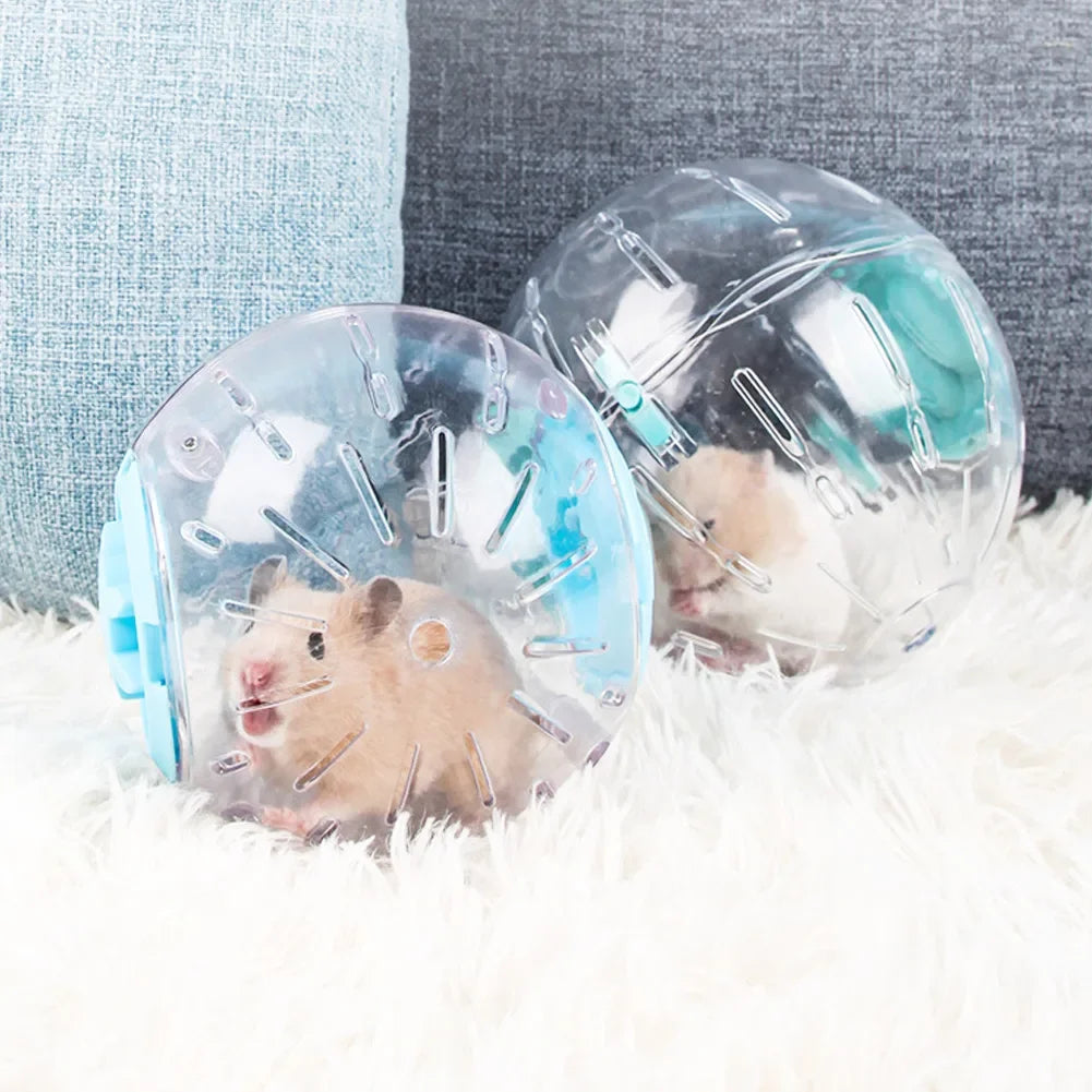 Transparent Hamster Running Ball | The Woof & Whiskers Co.