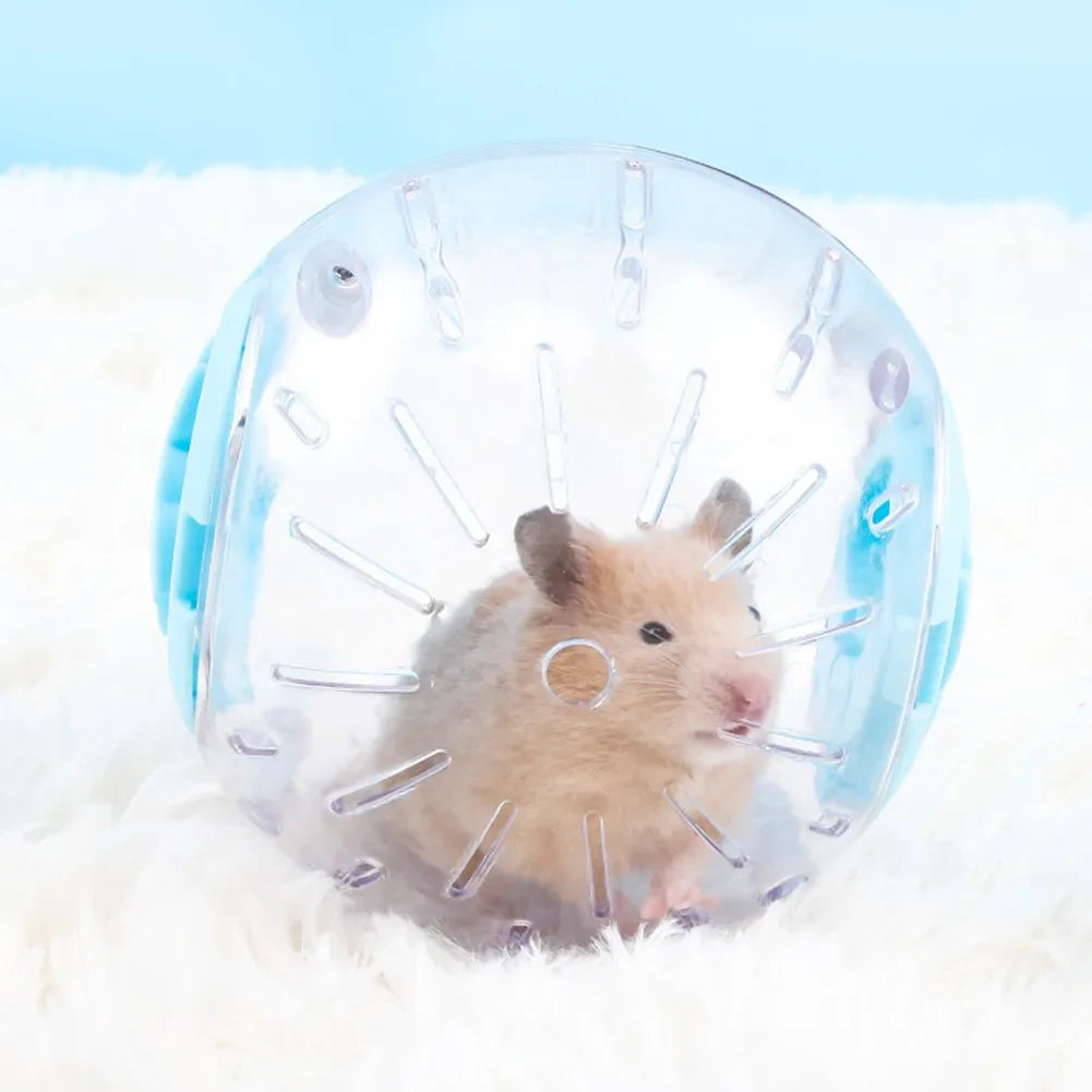 Transparent Hamster Running Ball | The Woof & Whiskers Co.