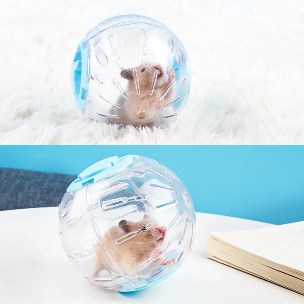 Transparent Hamster Running Ball | The Woof & Whiskers Co.