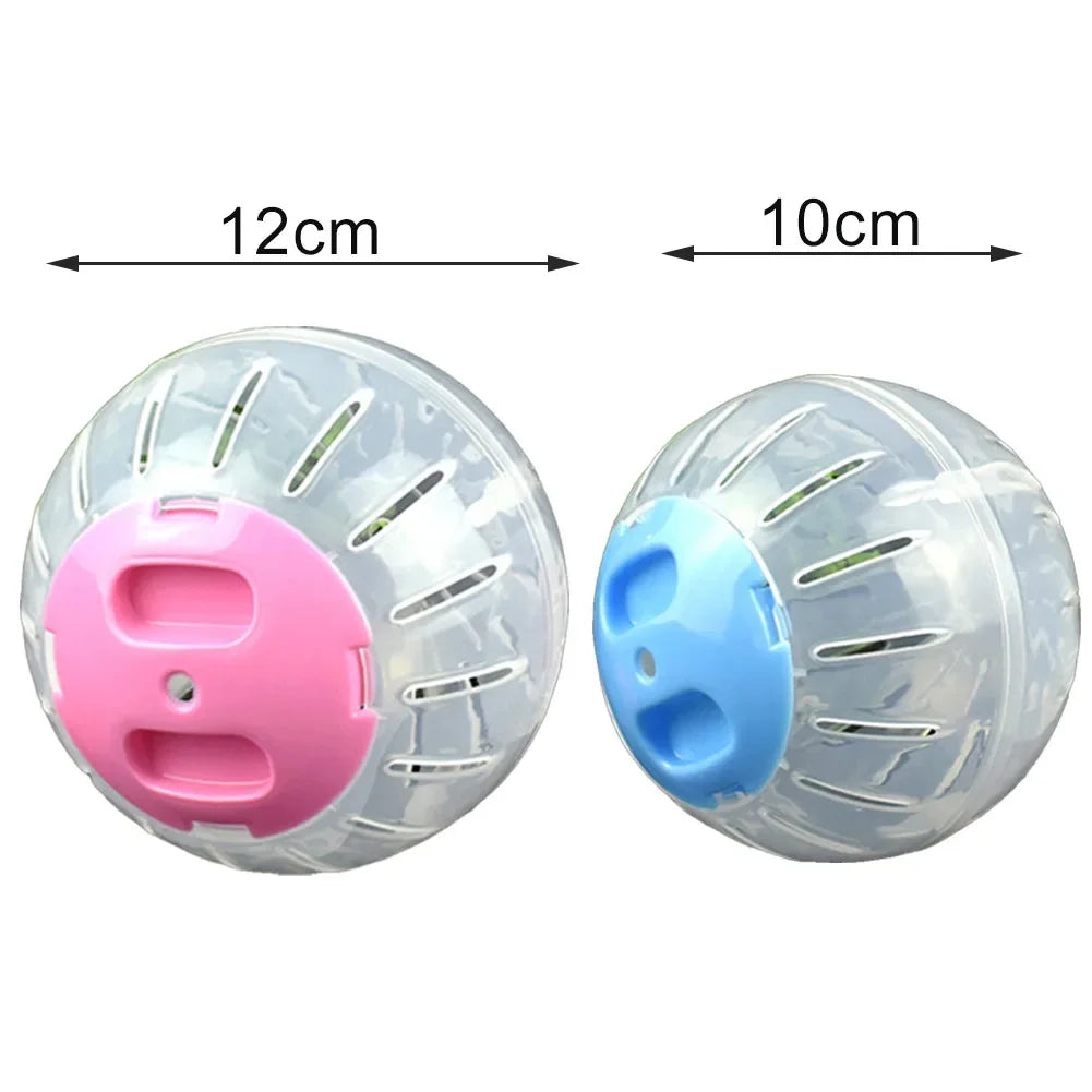 Transparent Hamster Running Ball | The Woof & Whiskers Co.