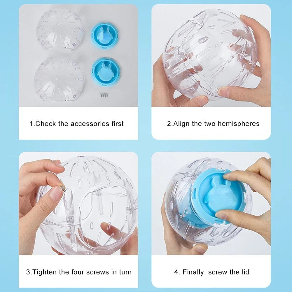 Transparent Hamster Running Ball | The Woof & Whiskers Co.
